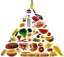 Food Pyramid