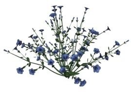 Flower Graphics drawing