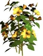 Flower And Trees Clip Art