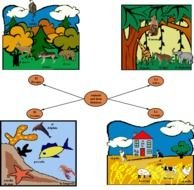 types of animals in Spanish
