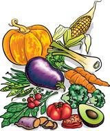 drawings of vegetables at the farmers market