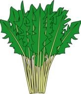 Free Vegetable Clipart
