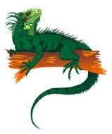 Cartoon Iguana Clip Art Free