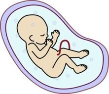 Cartoon Human Clip Art