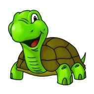 Turtle as a illustration