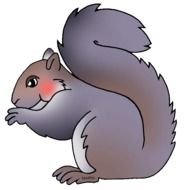 Squirrel Clip Art N6