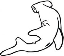 Free Printable Coloring Pages Hammerhead Sharks