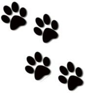 drawn white footprints of a dog on a black background