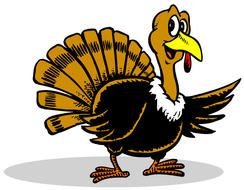 Thanksgiving Turkey bird Cartoon drawing