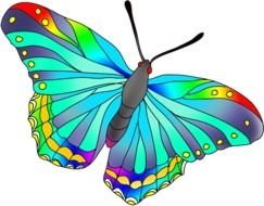 Beautiful Butterfly Drawings Easy