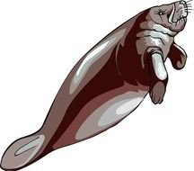 Manatee Clip Art