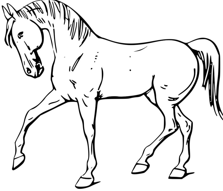 Horse Outline Clip Art