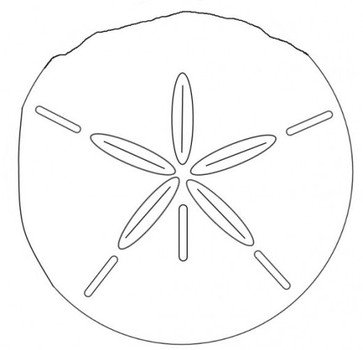 Sand Dollar Clip Art
