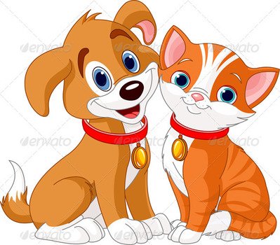 Cat Dog Cartoon