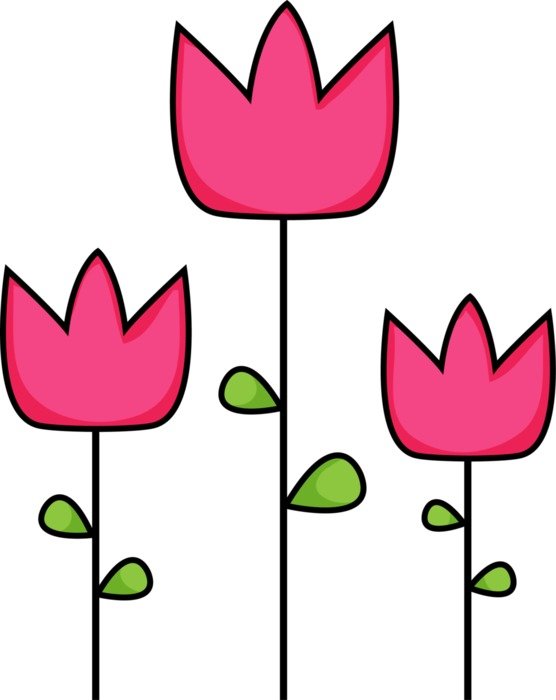drawn pink tulips