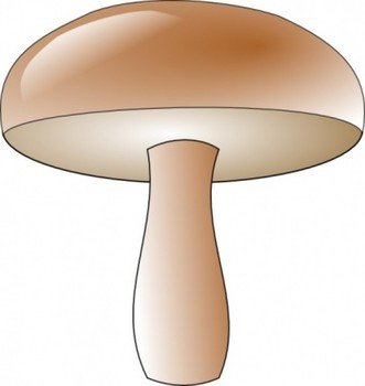 Champignon Clip Art
