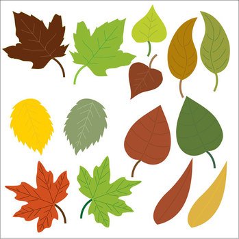 Leaf Clip Art
