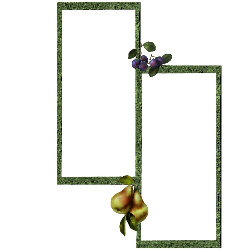two frames with painted pears and berries