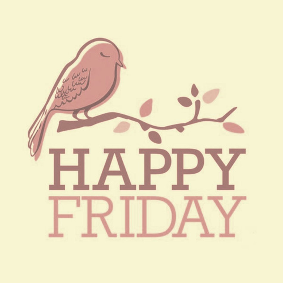 Happy Friday N6