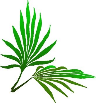 Palm Branches Clip Art