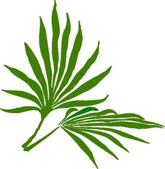 Palm Sunday Clip Art N4