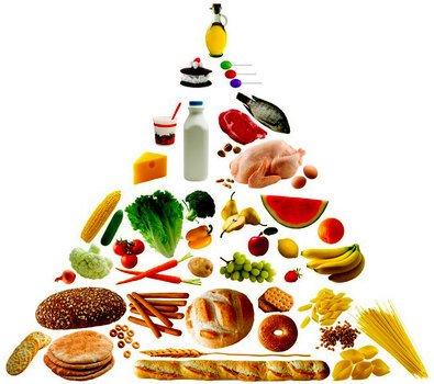 Food Pyramid