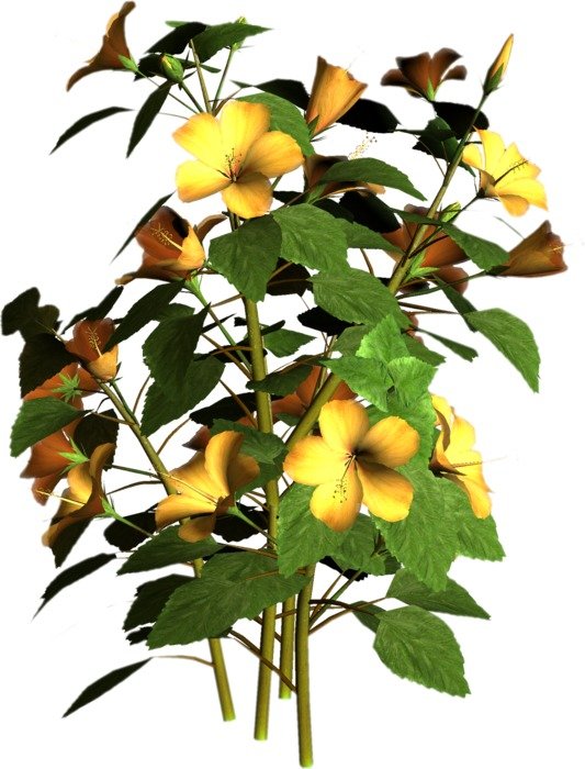 Flower And Trees Clip Art