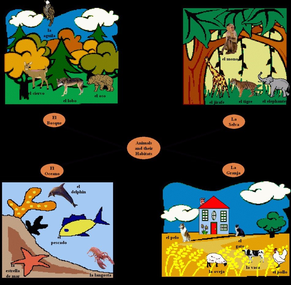 types of animals in Spanish