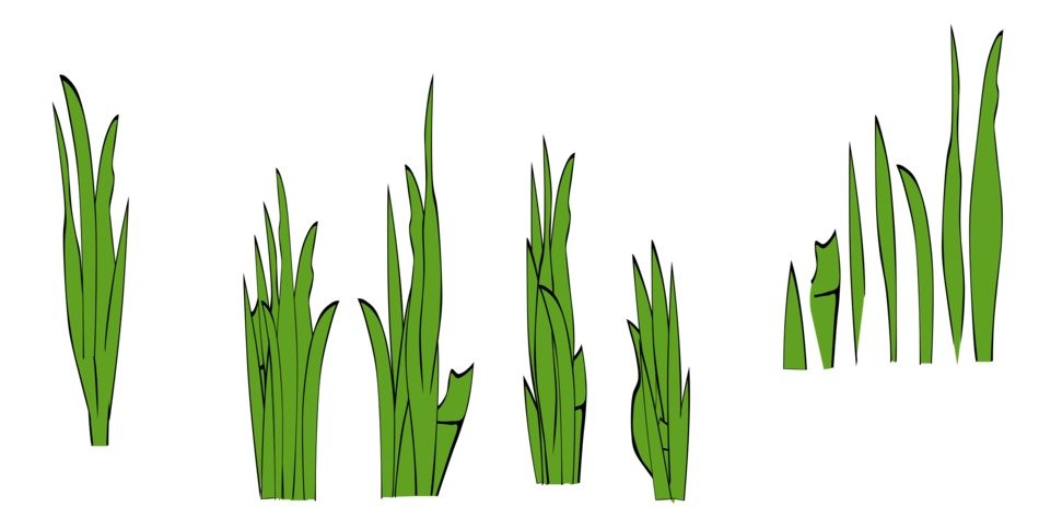 Ä°llustration of green grasses