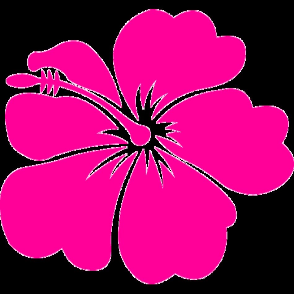 Hawaiian Flower Clip Art N4 Free Image Download