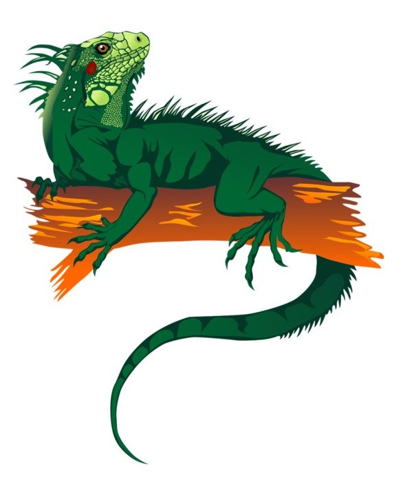 Cartoon Iguana Clip Art Free