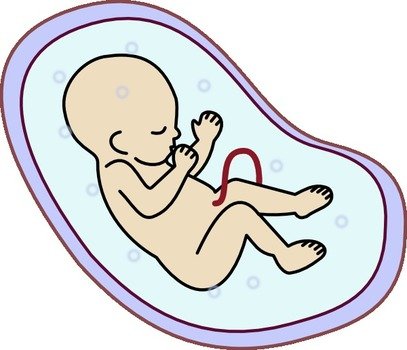 Cartoon Human Clip Art