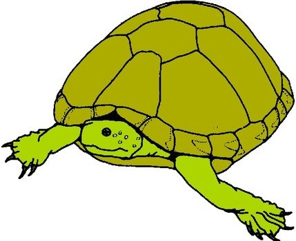 Turtle Clip Art N4