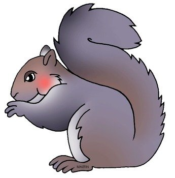 Squirrel Clip Art N6