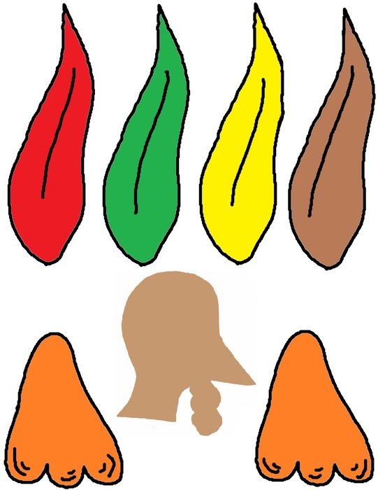 feather designs in different colors