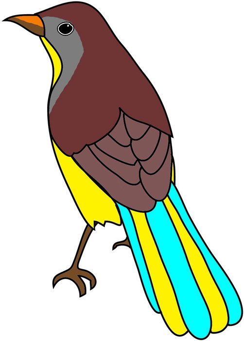Cool bird Drawing