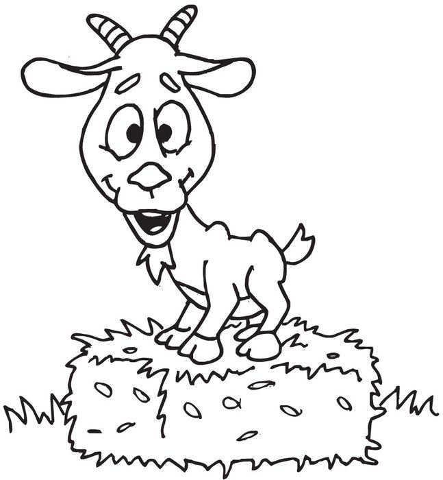 funny billy goat on Hay Bale, coloring page