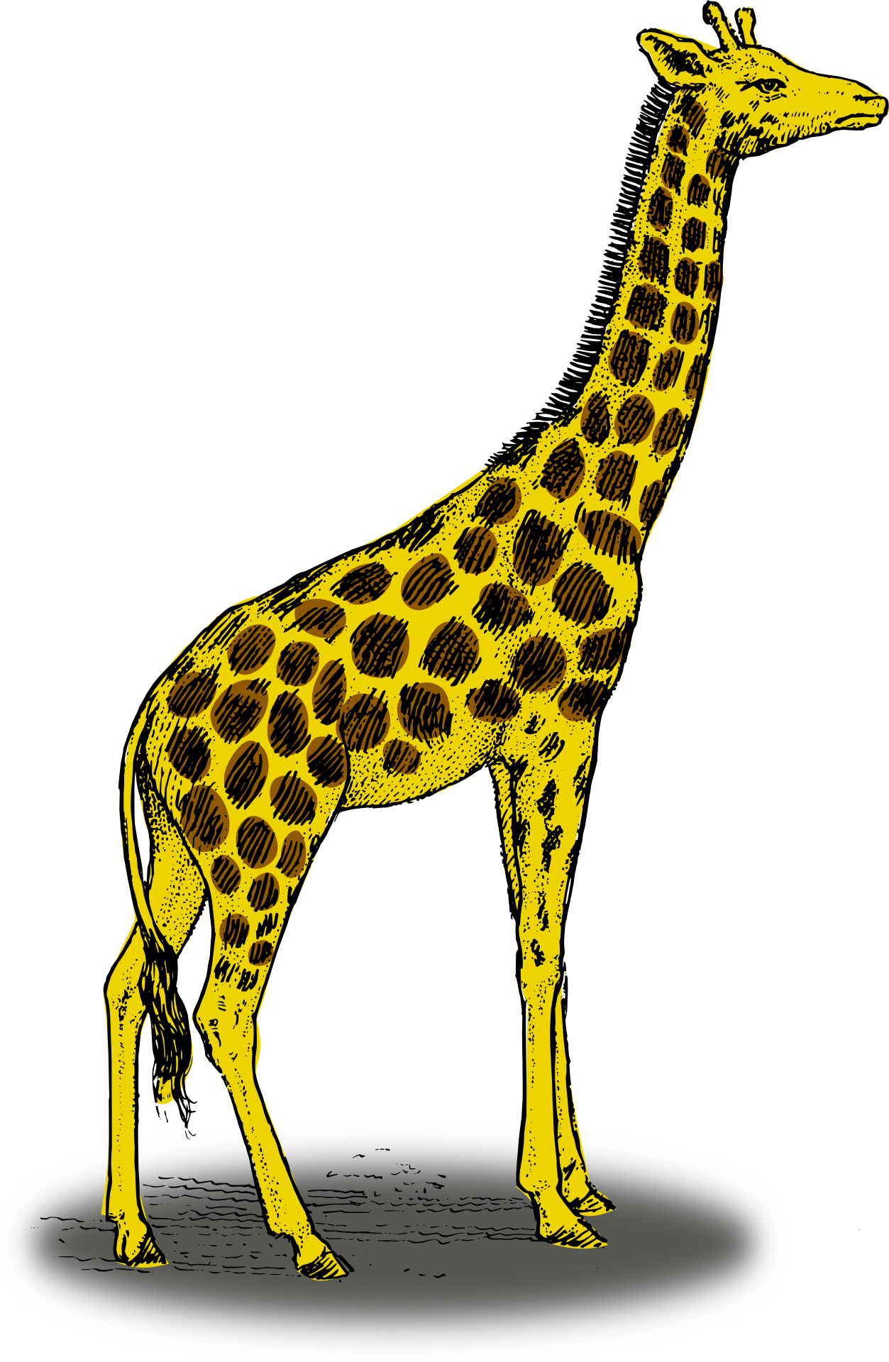 Drawing yellow giraffe with brown spots free image