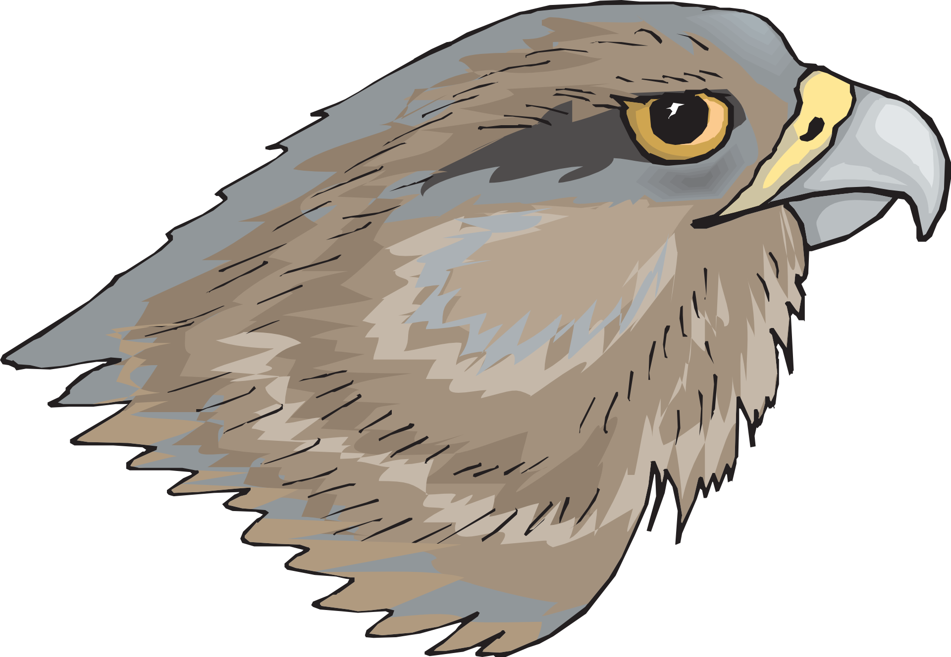 Drawing of attractive Eagle bird head free image download