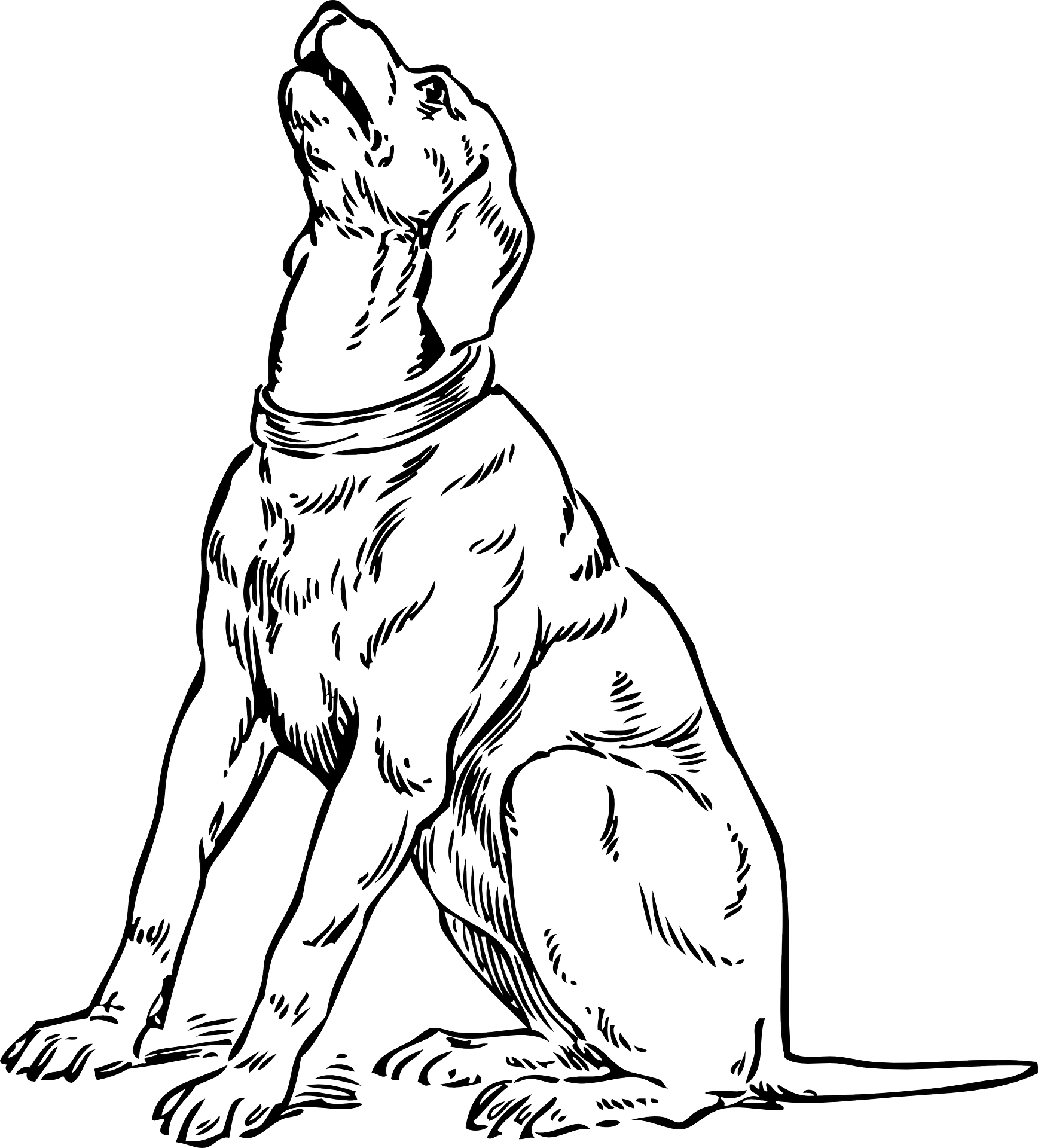 Draw dogs. Сидящая собака сбоку чёрно белый. Бассет хаунд. Раскраска "собаки". Рисование сидячей собаки.
