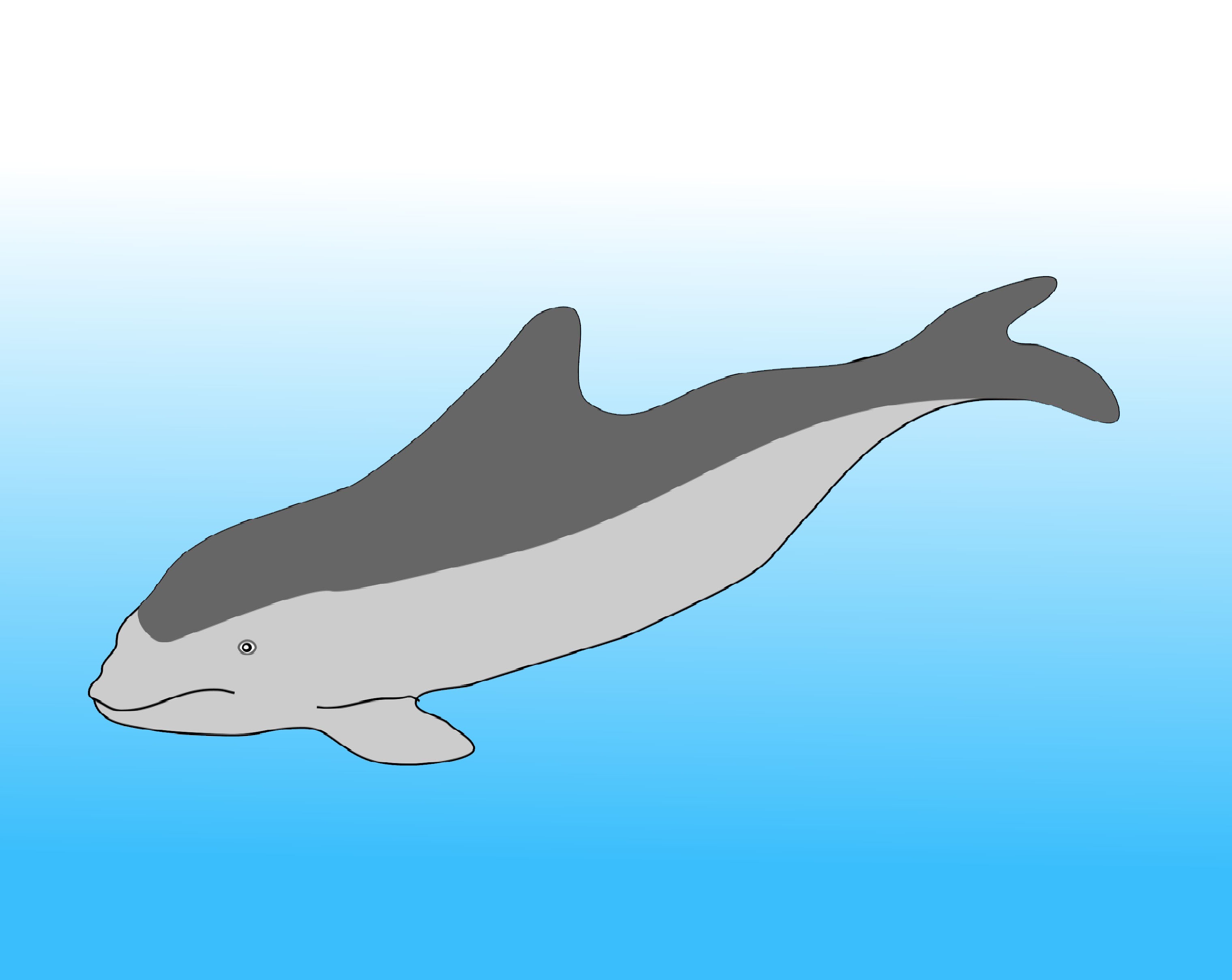 Дельфин Азовка рисунок