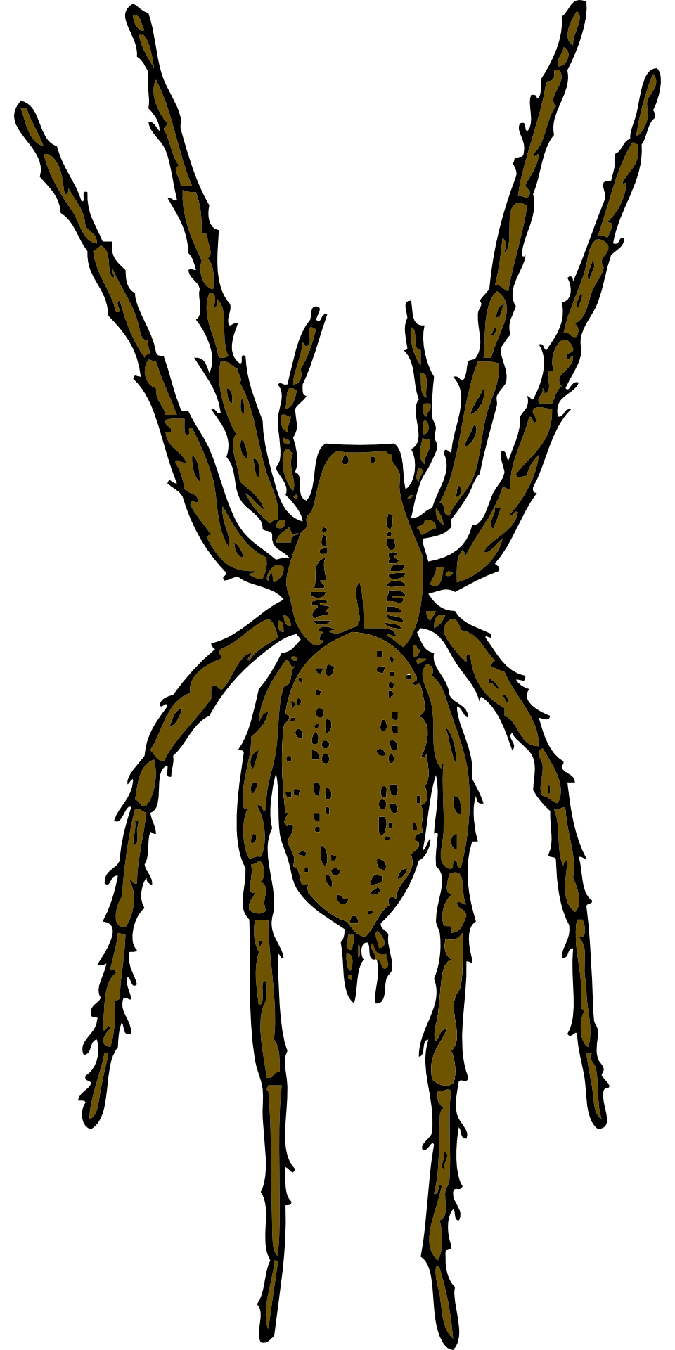 Big black spider drawing free image download