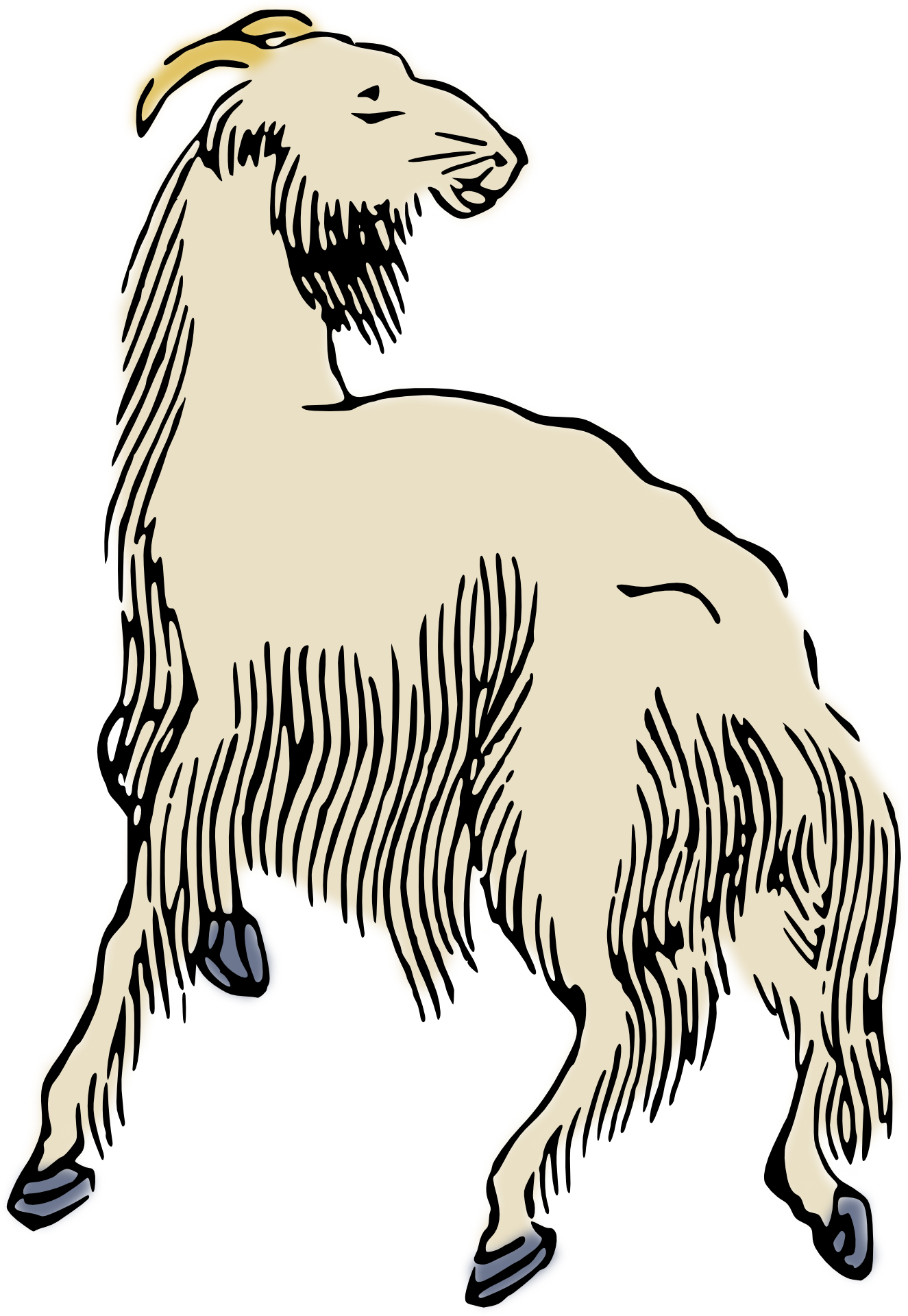 Drawing of the grey billy goat free image download