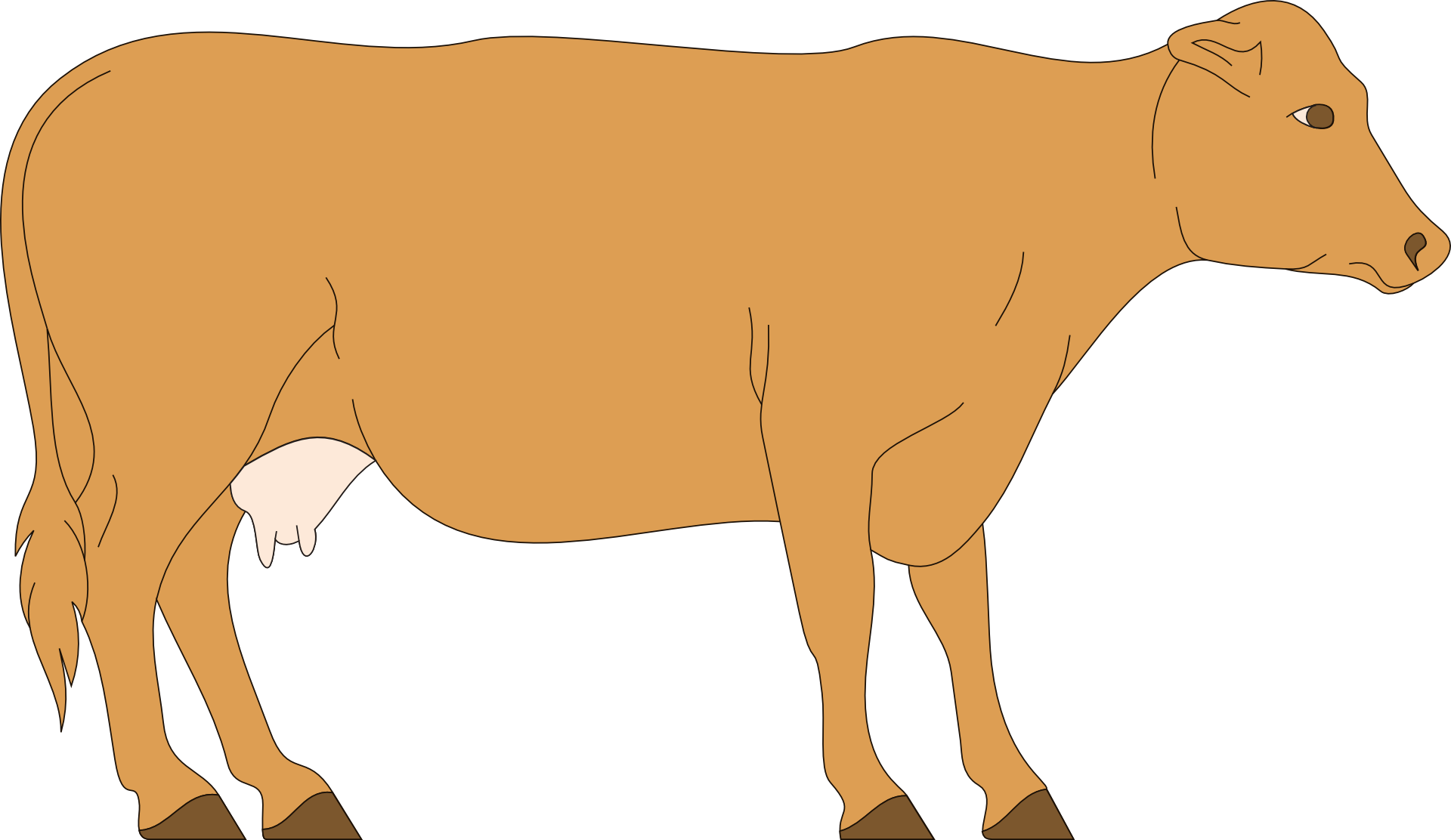 Как нарисовать оранжевую корову. Корова. Корова анимация. Корова рисунок. Тёлка.