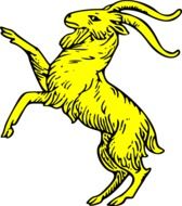 painted yellow goat as an illustration