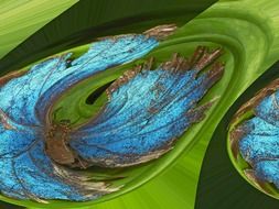 Green and Blue Butterfly, abstract digital art