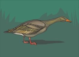 wild goose stretching neck drawing