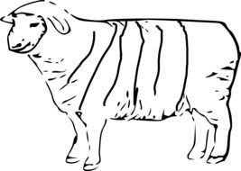 Sheep Stripes drawing