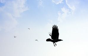 Against Flying in Blue Clouds