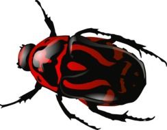 Beetle Black Red drawing